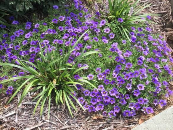 r3t2018-07-20_20-361