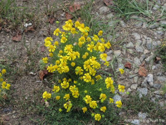 r3t2018-07-22_22-172