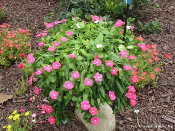 r3t2018-07-24_21-522