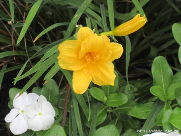 r3t2018-08-03_22-343