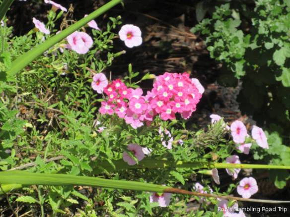 r3t2018-08-04_22-161