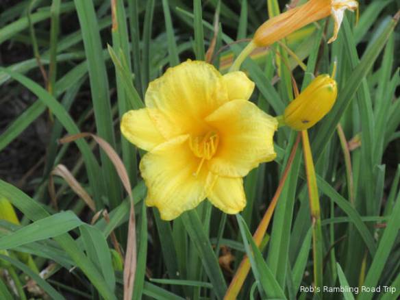 r3t2018-08-05_22-471