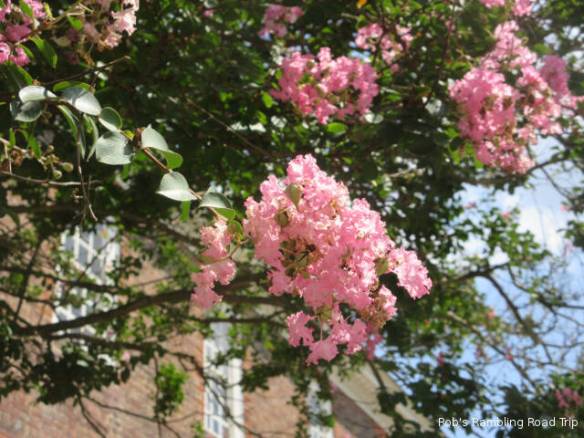 r3t2018-08-07_21-336