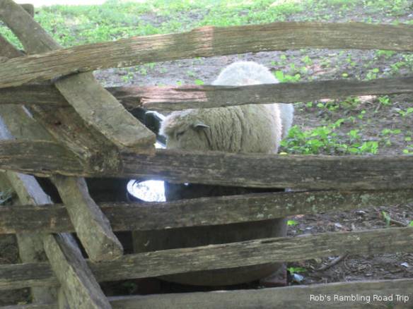 r3t2018-08-08_21-273