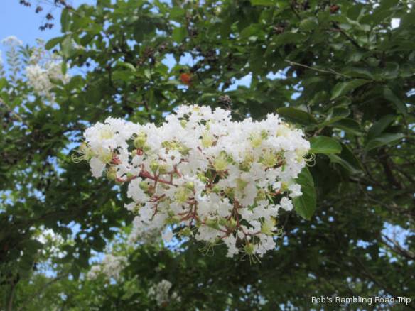 r3t2018-08-08_21-278