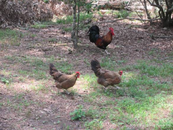 r3t2018-08-09_20-4612