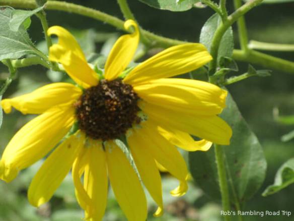 r3t2018-08-09_20-468