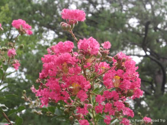 r3t2018-08-11_20-371