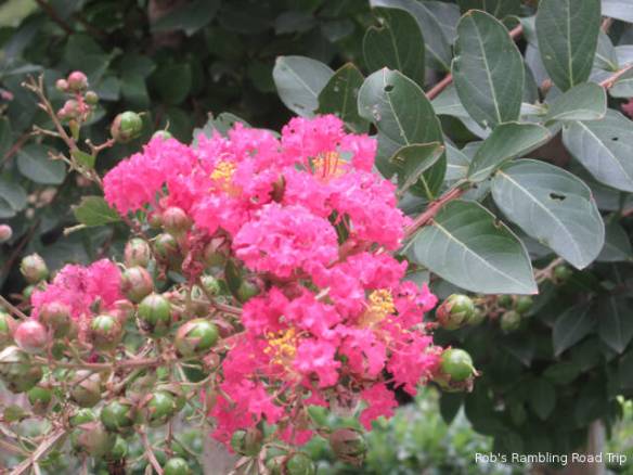 r3t2018-08-11_20-372