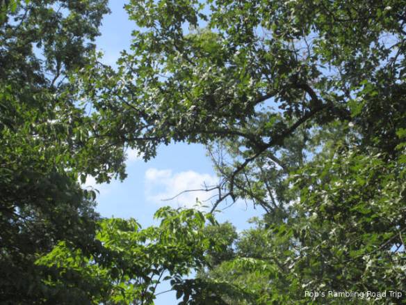 r3t2018-08-15_20-361