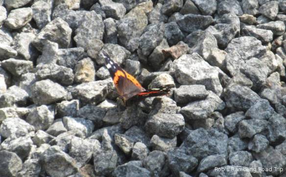 r3t2018-08-15_20-362