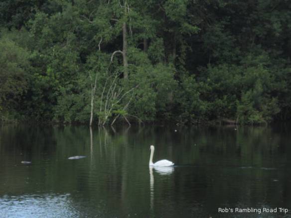 r3t2018-08-17_20-512