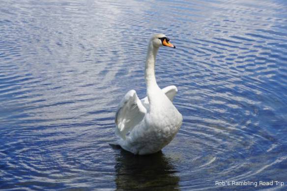 r3t2018-08-18_20-281