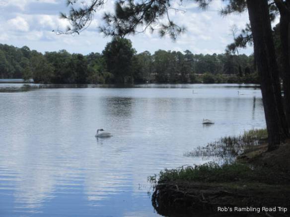 r3t2018-08-18_20-2810