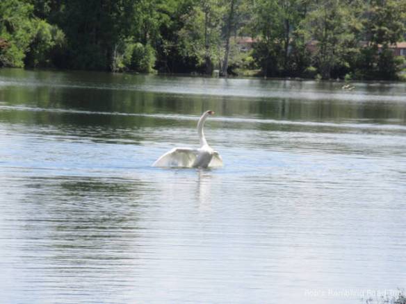 r3t2018-08-18_20-2812