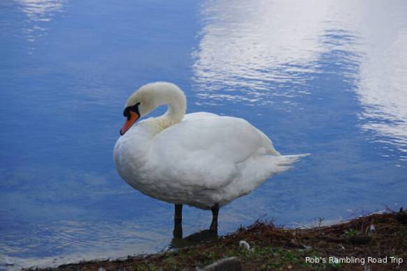 r3t2018-08-18_20-285