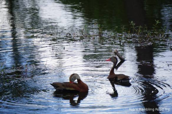 r3t2018-08-18_20-286