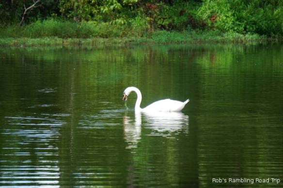 r3t2018-08-18_20-287