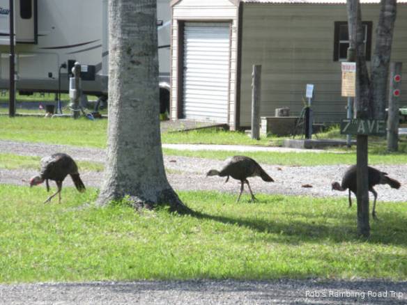 r3t2018-08-20_19-371