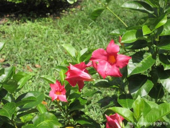 r3t2018-08-23_20-271