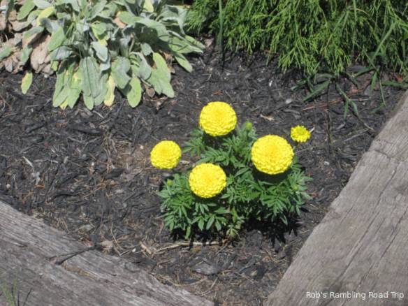 r3t2018-08-26_20-282