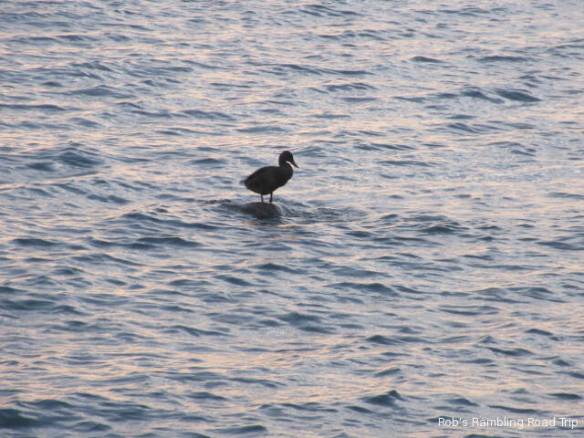 r3t2018-08-29_21-052