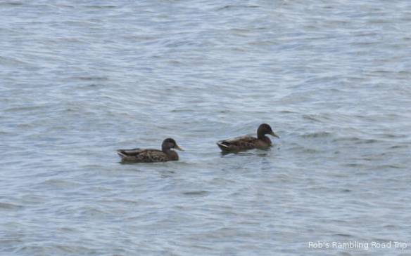 r3t2018-08-30_20-191