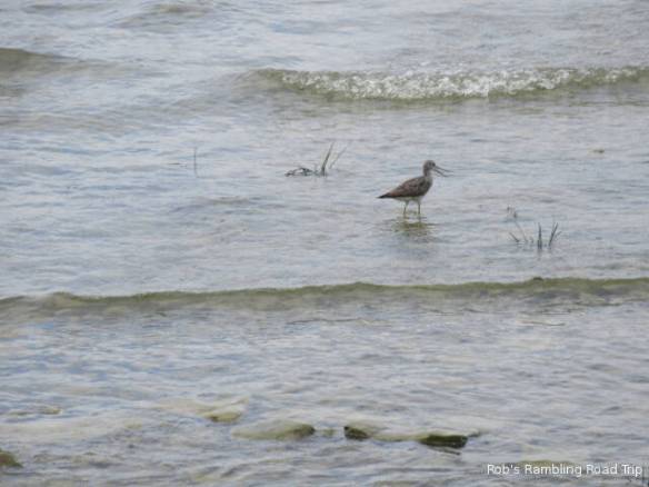 r3t2018-08-30_20-192