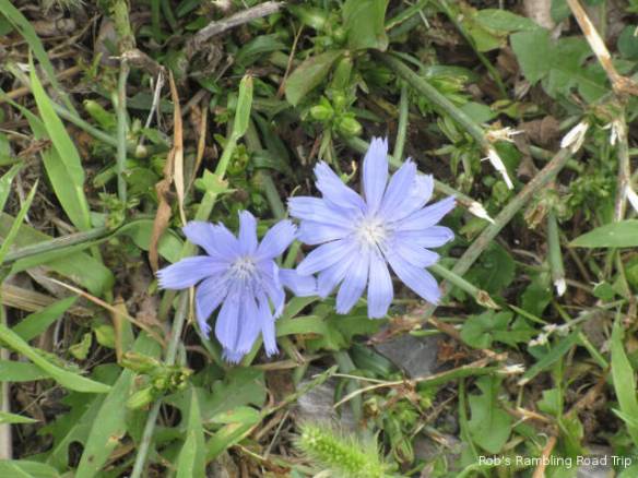 r3t2018-08-30_20-193