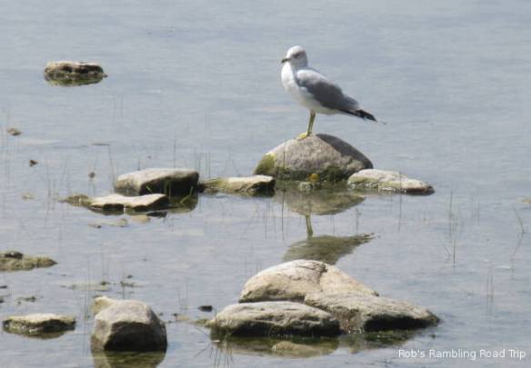 r3t2018-08-31_22-281