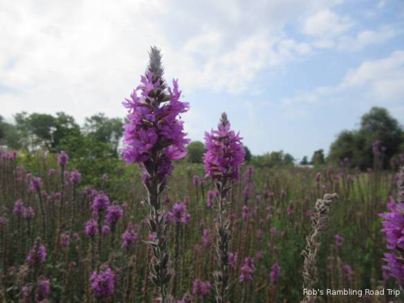 r3t2018-09-01_22-521