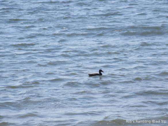 r3t2018-09-02_20-543