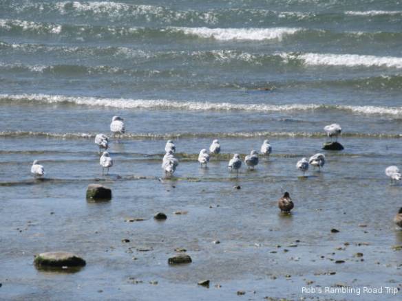 r3t2018-09-03_21-004