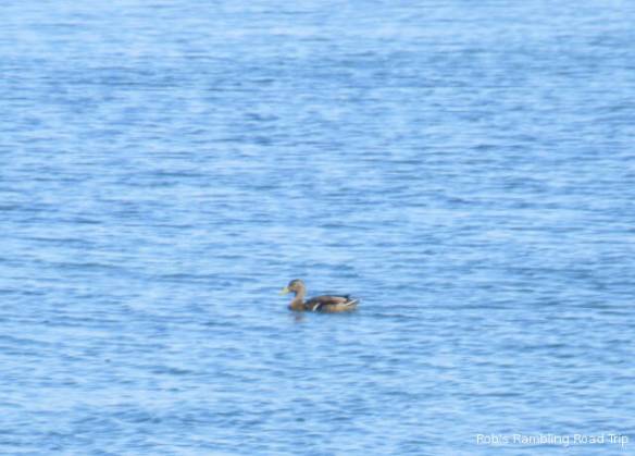 r3t2018-09-04_21-022