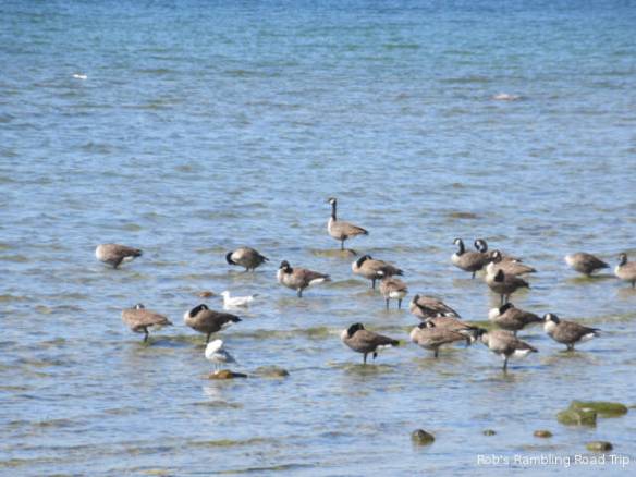 r3t2018-09-05_19-421