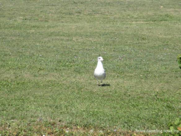 r3t2018-09-05_19-422