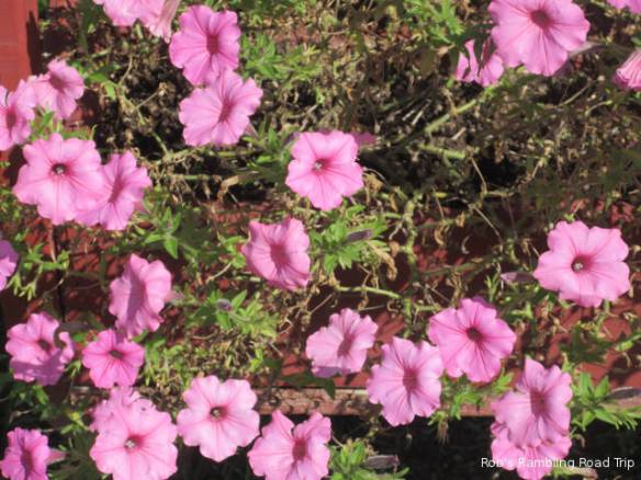 r3t2018-09-07_21-226