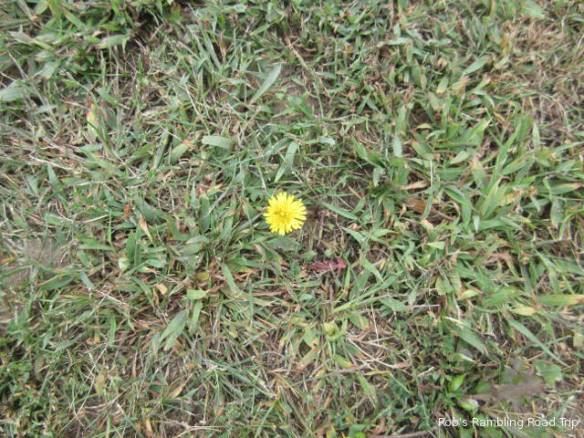 r3t2018-09-10_19-522