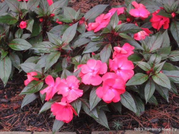 r3t2018-09-12_20-422