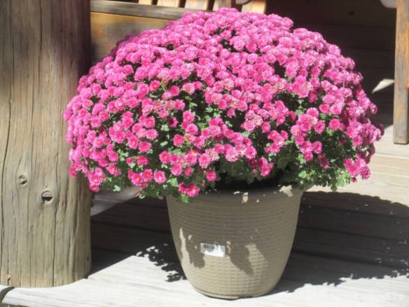 r3t2018-09-14_20-491