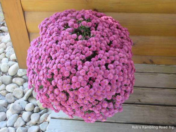 r3t2018-09-15_21-398