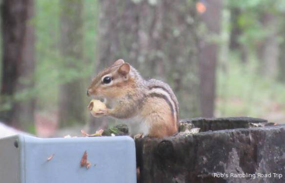 r3t2018-09-19_21-081