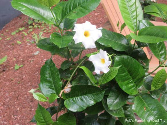 r3t2018-09-20_21-102