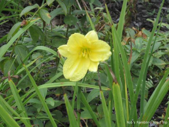 r3t2018-09-21_23-021