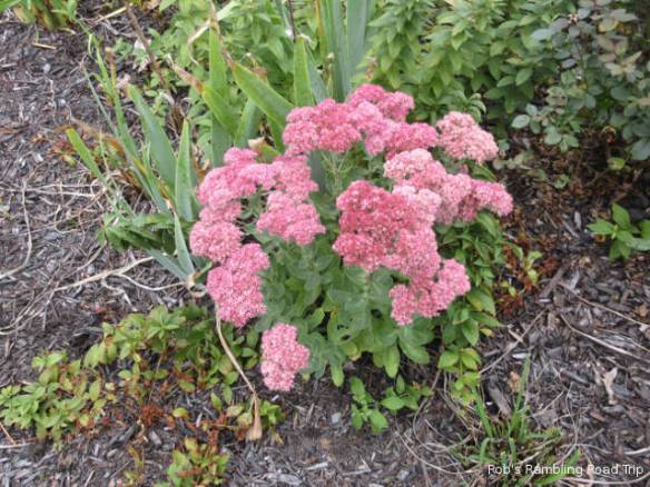 r3t2018-09-21_23-022