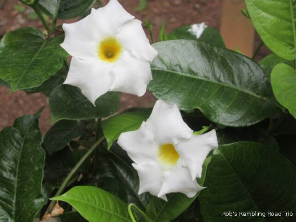 r3t2018-09-22_22-331