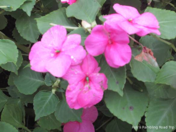 r3t2018-09-22_22-333