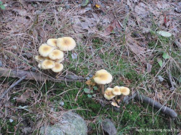 r3t2018-09-24_23-131