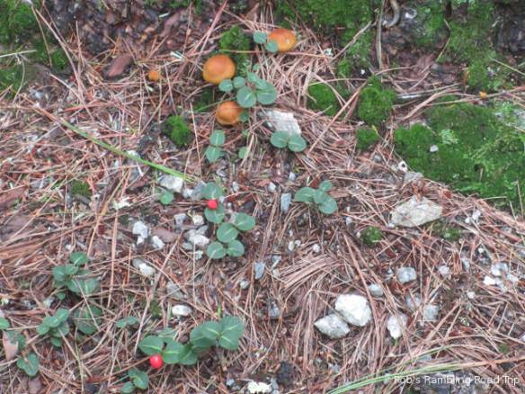 r3t2018-09-27_22-171