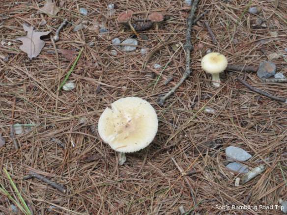 r3t2018-09-27_22-172